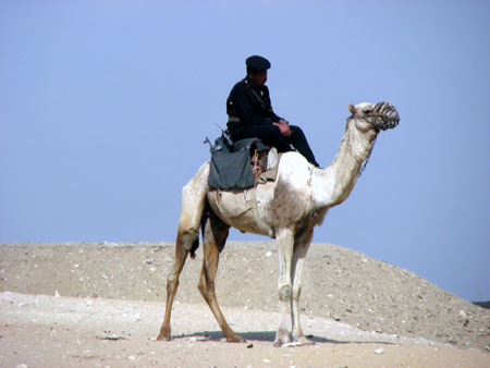 soldier on camel