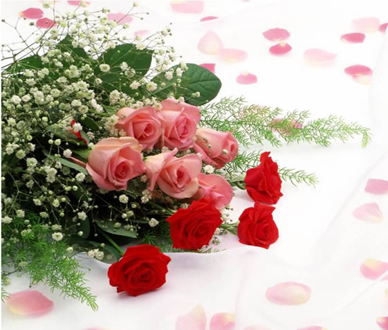 Roses