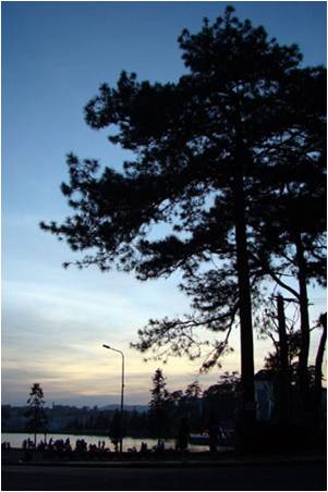 Dalat
