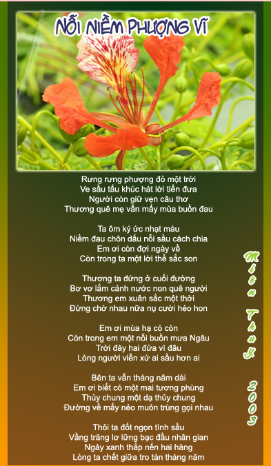 mienthuy 5
