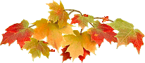 maple leaves